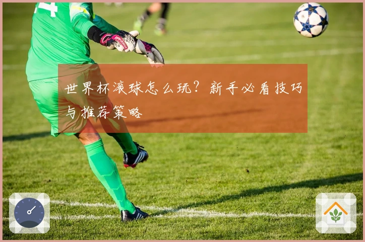 世界杯滚球怎么玩？新手必看技巧与推荐策略