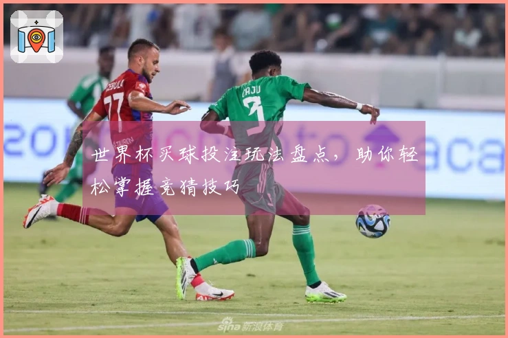 世界杯买球投注玩法盘点，助你轻松掌握竞猜技巧