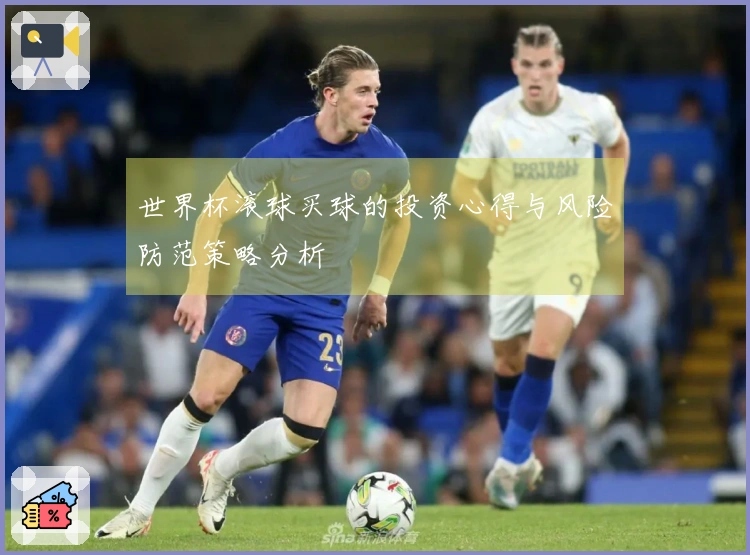 世界杯滚球买球的投资心得与风险防范策略分析