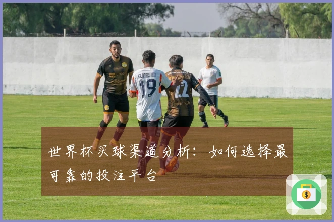 世界杯买球渠道分析：如何选择最可靠的投注平台