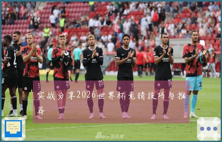实战分享2026世界杯竞猜技巧与推荐