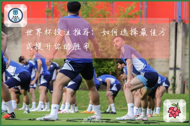 世界杯投注推荐：如何选择最佳方式提升你的胜率