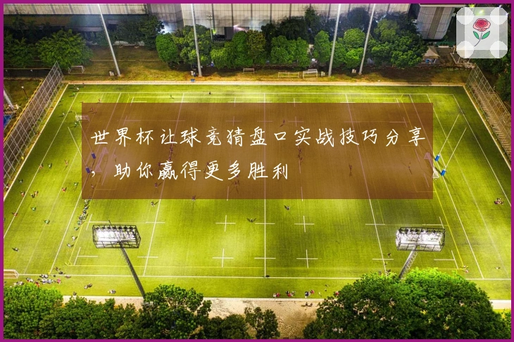 世界杯让球竞猜盘口实战技巧分享，助你赢得更多胜利