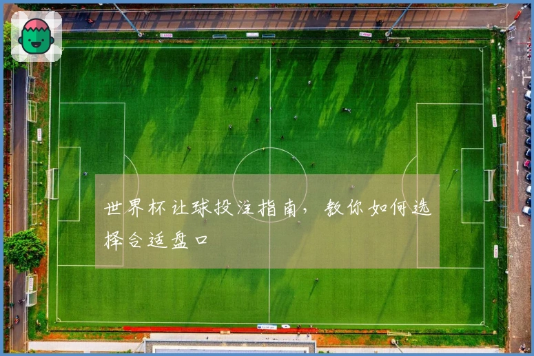 世界杯让球投注指南，教你如何选择合适盘口