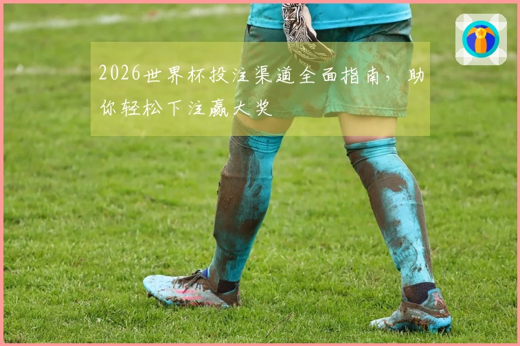 2026世界杯投注渠道全面指南，助你轻松下注赢大奖