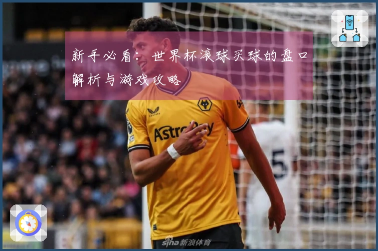 新手必看：世界杯滚球买球的盘口解析与游戏攻略