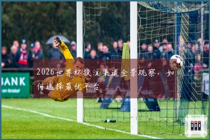 2026世界杯投注渠道全景观察，如何选择最优平台