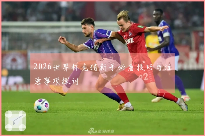 2026世界杯竞猜新手必看技巧与注意事项探讨