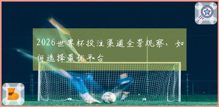 2026世界杯投注渠道全景观察，如何选择最优平台