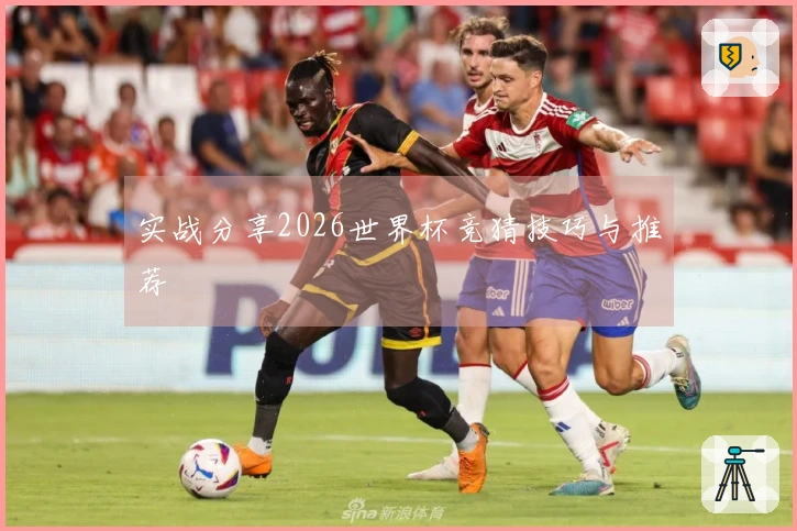 实战分享2026世界杯竞猜技巧与推荐