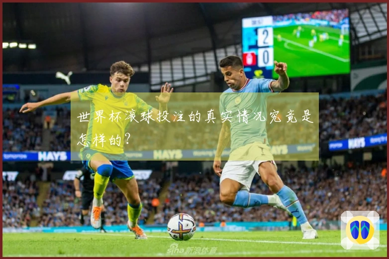 世界杯滚球投注的真实情况究竟是怎样的？