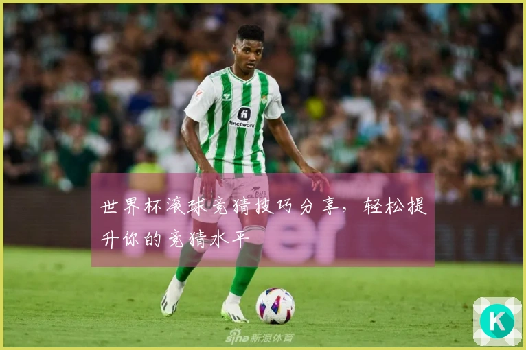 世界杯滚球竞猜技巧分享，轻松提升你的竞猜水平